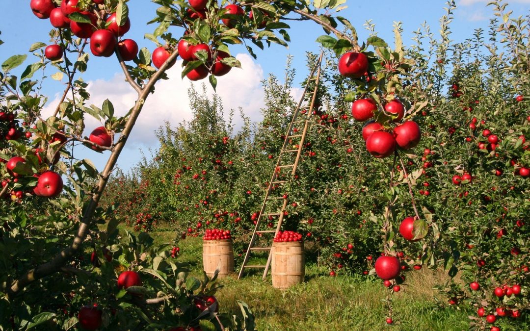 Farming has become the most important job